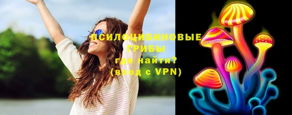 сатива Новочеркасск