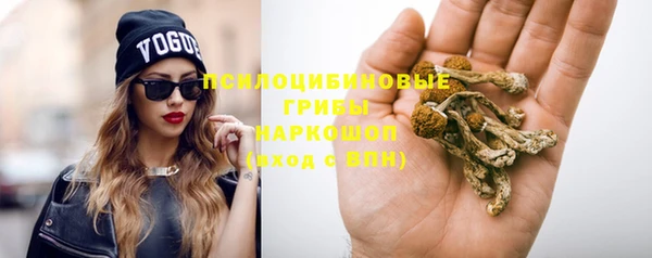сатива Новочеркасск