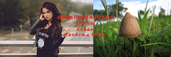 меф Анива