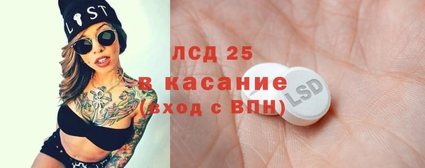 гидра Анжеро-Судженск
