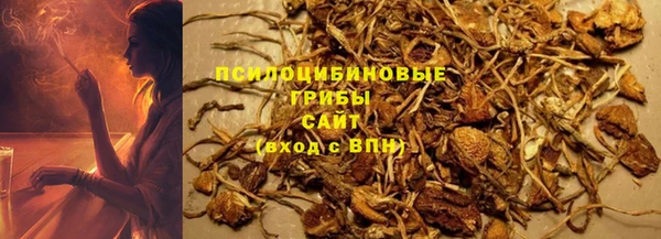 МДПВ Апатиты
