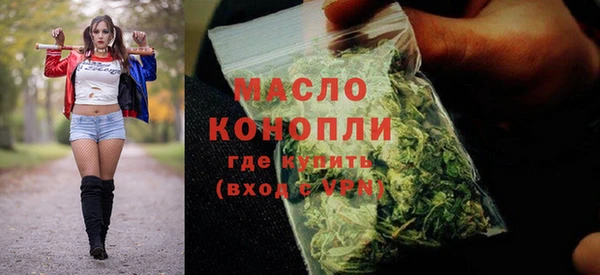 гидра Анжеро-Судженск