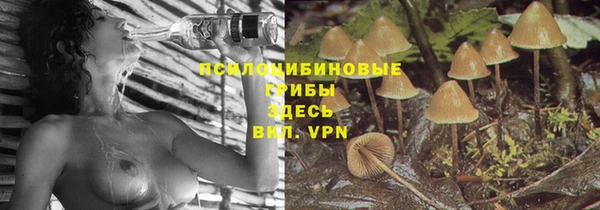 МДПВ Апатиты