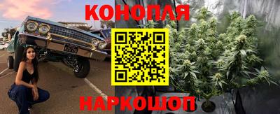 эйфоретик Камышлов