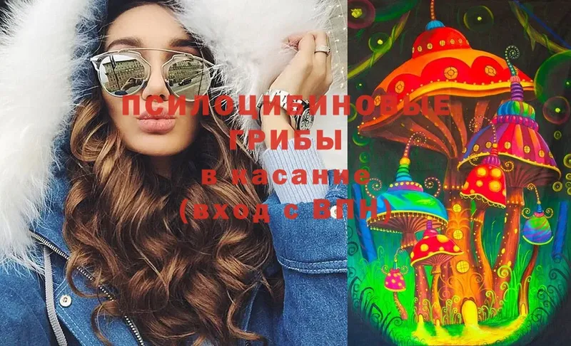 где купить   Арсеньев  Галлюциногенные грибы MAGIC MUSHROOMS 