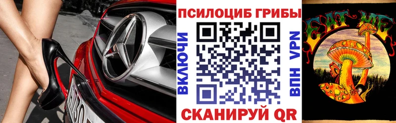 где найти наркотики  Арсеньев  Галлюциногенные грибы Cubensis 