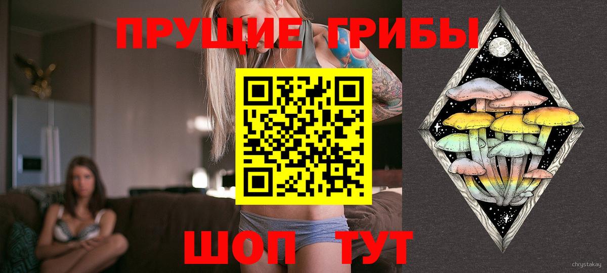 Галлюциногенные грибы прущие грибы  Вход с VPN  Арсеньев 
