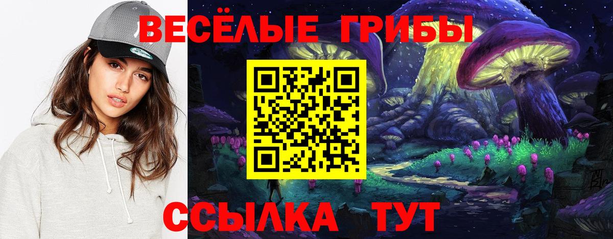 Галлюциногенные грибы мицелий Арсеньев