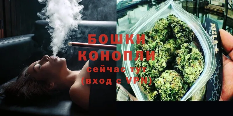 MEGA   Арсеньев  Бошки марихуана OG Kush 